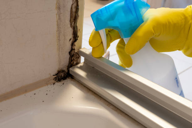 Best Mold Removal Company Near Me  in Mcfarland, WI