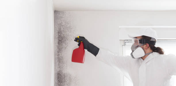 Best Mold Cleaning Services  in Mcfarland, WI