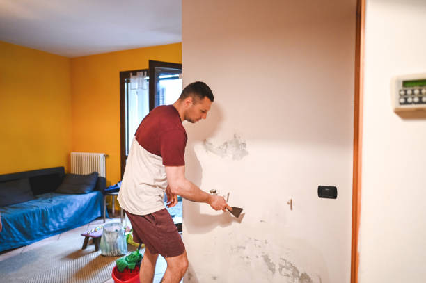 Professional Mold Removal in Mcfarland, WI