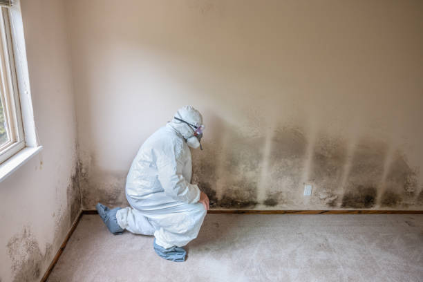 Best Toxic Mold Removal  in Mcfarland, WI