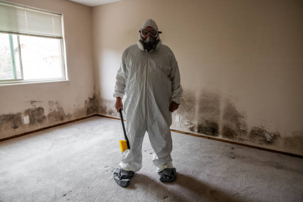 Best Mold Removal Company Near Me  in Mcfarland, WI